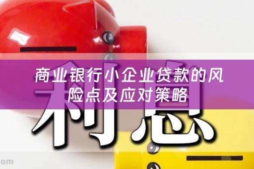  商业银行小企业贷款的风险点及应对策略