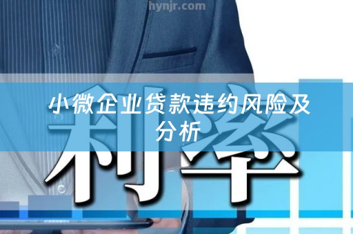  小微企业贷款违约风险及分析