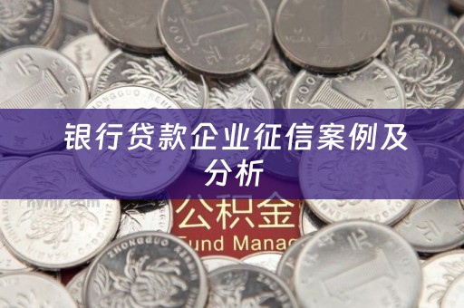  银行贷款企业征信案例及分析