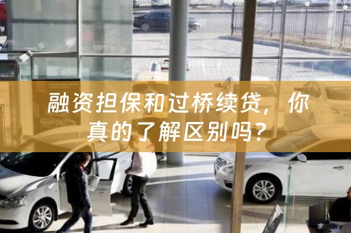  融资担保和过桥续贷，你真的了解区别吗？