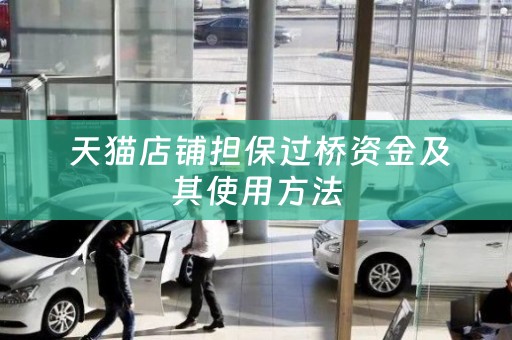  天猫店铺担保过桥资金及其使用方法