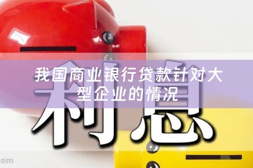  我国商业银行贷款针对大型企业的情况