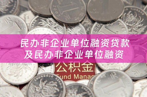  民办非企业单位融资贷款及民办非企业单位融资