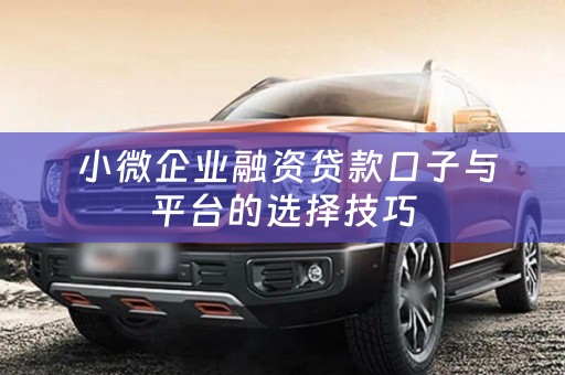  小微企业融资贷款口子与平台的选择技巧