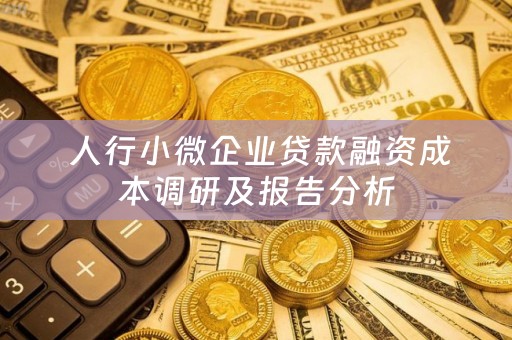  人行小微企业贷款融资成本调研及报告分析