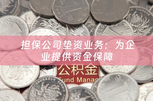  担保公司垫资业务：为企业提供资金保障