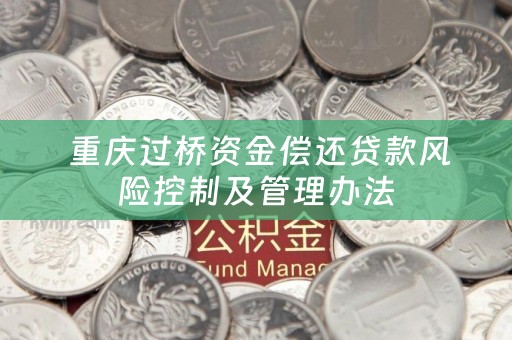  重庆过桥资金偿还贷款风险控制及管理办法