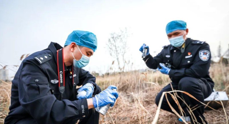 涉及车贷、装修、传销……南通公安公布八起经济犯罪典型案例