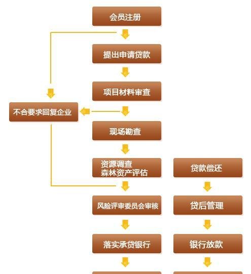  成都中小企业无抵押贷款政策及申请流程详解