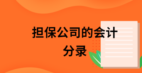  公司为企业提供担保贷款会计分录及其详细解析