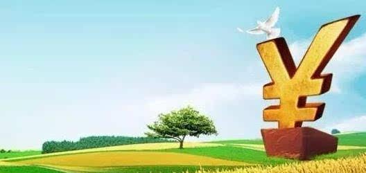 粮贸企业信用贷款融资方案介绍及粮食企业贷款