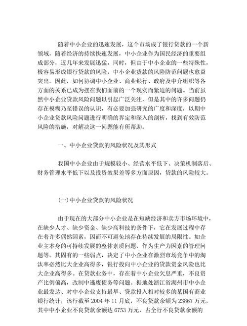  中小企业贷款的风险及防范措施