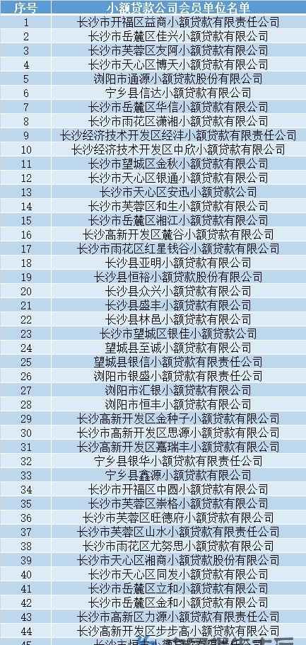永州市小额贷款公司 永州市小额贷款公司有哪些