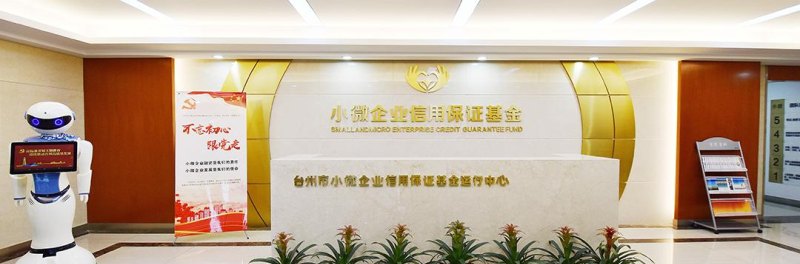 温州近半企业贷款不需要抵押,金融创新助力企业发展