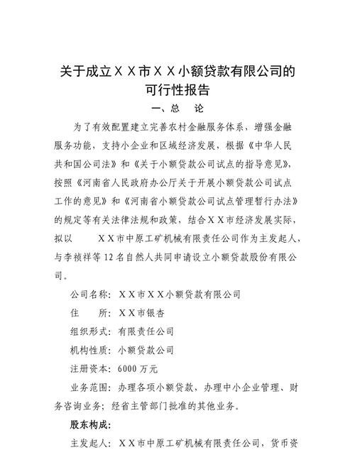 贷款可行性 贷款可行性分析报告