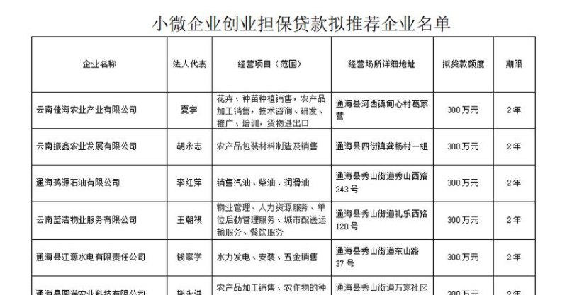  河南省小微企业贷款担保公司及河南省小微企业贷款担保公司有哪些