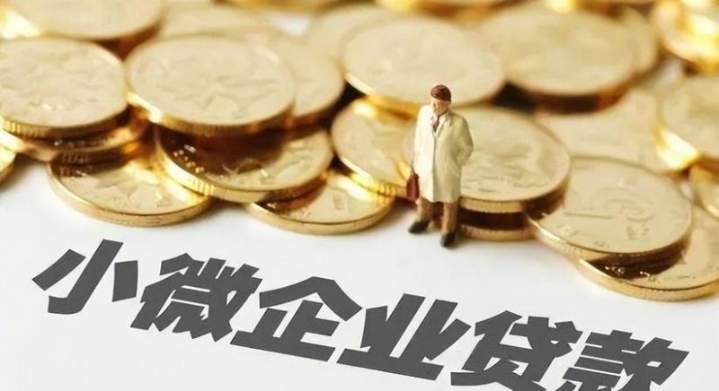 河南省小微企业贷款担保公司及河南省小微企业贷款担保公司有哪些