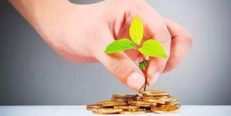 个人企业年金贷款可以抵押吗？解析个人企业年金贷款的相关问题