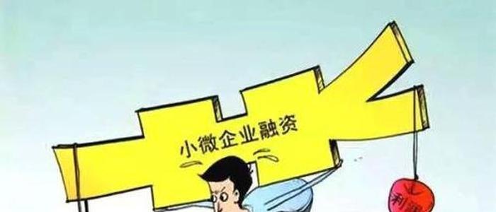  中小微企业贷款担保缓解中小微企业融资难的问题及解决方案
