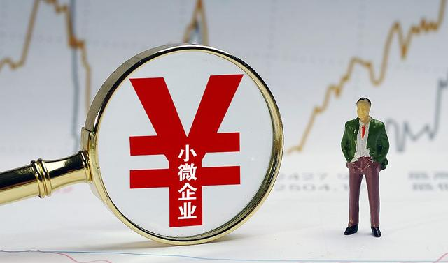  中小微企业贷款担保缓解中小微企业融资难的问题及解决方案