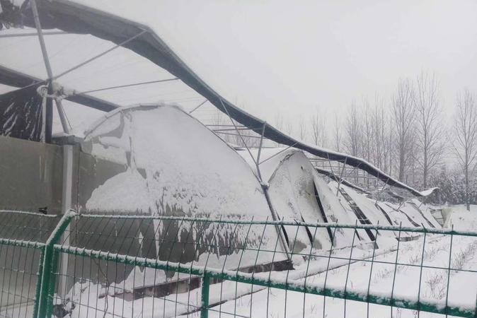  雪灾企业破损银行贷款及处理方法