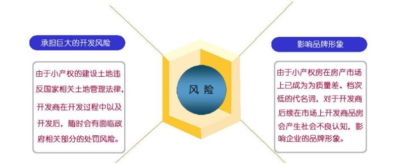 贷款安全性 贷款安全性调查中,对于申请外汇贷款的客户