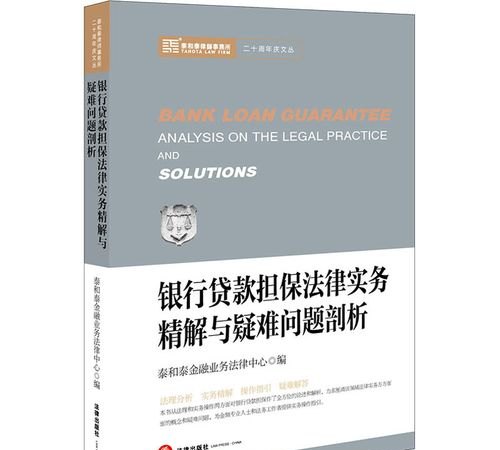  政府为企业向国外银行担保贷款：合法与违法的边界