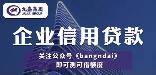  大额信用贷款企业及大额信用贷款企业有哪些？