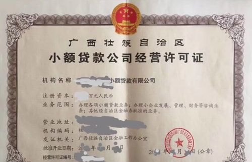  惠州市惠城区小额贷款公司：哪家靠谱？怎么选择？