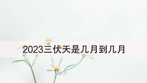 2023年 2023年三伏天时间表