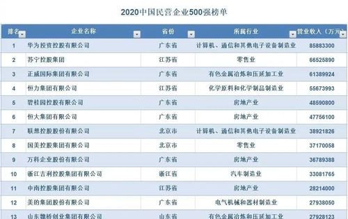 中国民营企业 中国民营企业500强