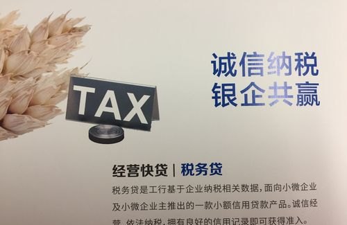  惠州税务贷款办理及办理流程解析，税务贷款相关问题解答