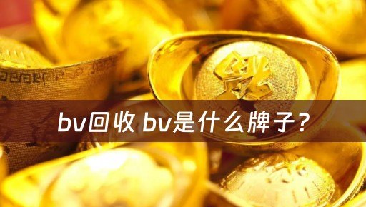 bv回收 bv是什么牌子？