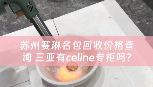 苏州赛琳名包回收价格查询 三亚有celine专柜吗？