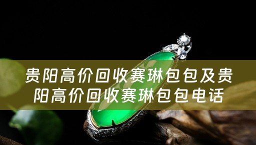 贵阳高价回收赛琳包包及贵阳高价回收赛琳包包电话