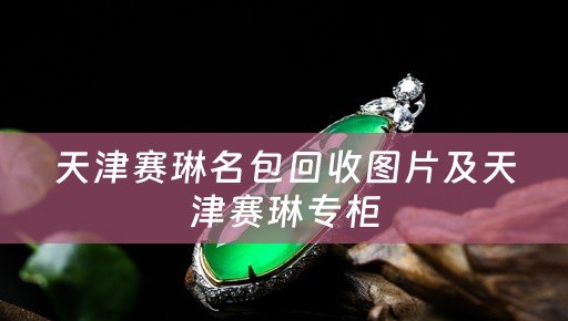 天津赛琳名包回收图片及天津赛琳专柜