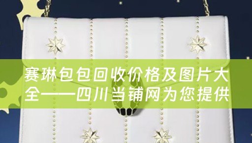 赛琳包包回收价格及图片大全——四川当铺网为您提供高价回收赛琳包包