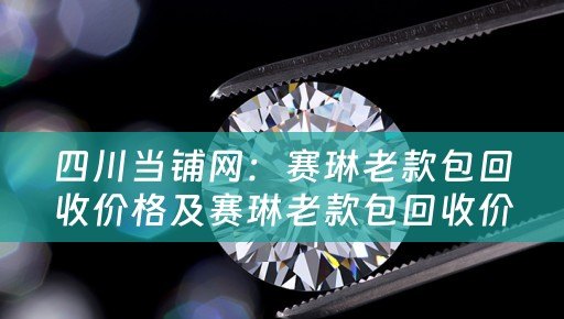 四川当铺网：赛琳老款包回收价格及赛琳老款包回收价格是多少