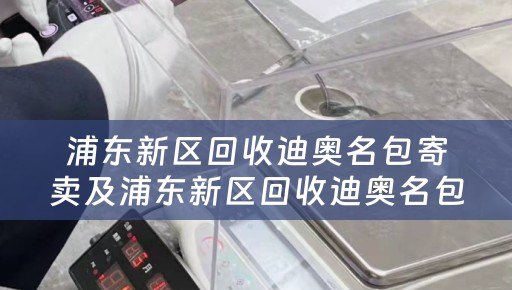 浦东新区回收迪奥名包寄卖及浦东新区回收迪奥名包寄卖地址
