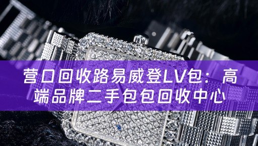 营口回收路易威登LV包：高端品牌二手包包回收中心