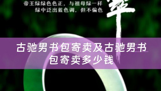 古驰男书包寄卖及古驰男书包寄卖多少钱