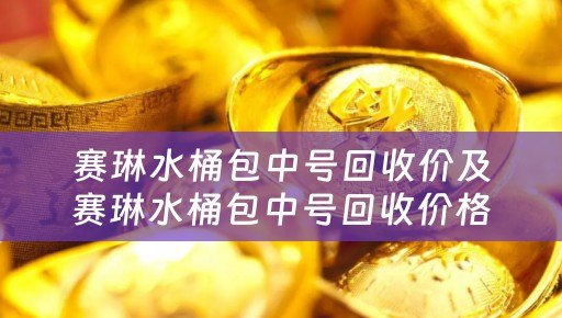 赛琳水桶包中号回收价及赛琳水桶包中号回收价格多少
