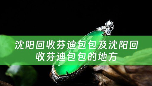 沈阳回收芬迪包包及沈阳回收芬迪包包的地方